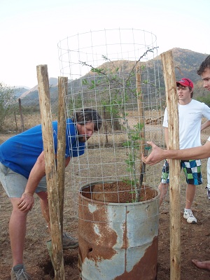 Mfula Store - Valley of 1000 Hills eco-tourism,
                  accommodation & activities